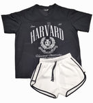 Coordinato Harvard