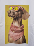 T-Shirt Animali Fantastici